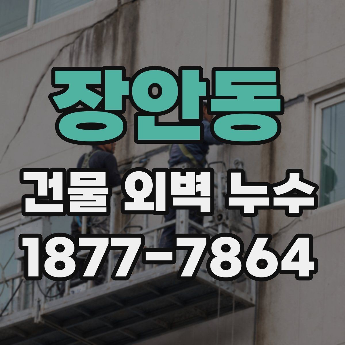장안동 건물 외벽 누수 예방을 위한 계절별 점검