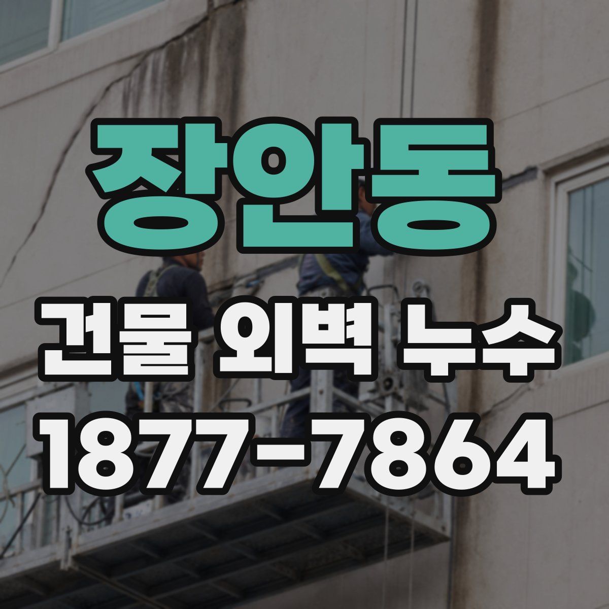 장안동 건물 외벽 누수