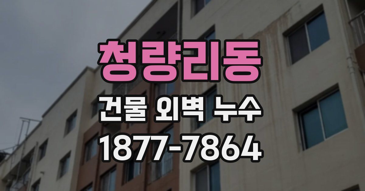 청량리동 건물 외벽 누수