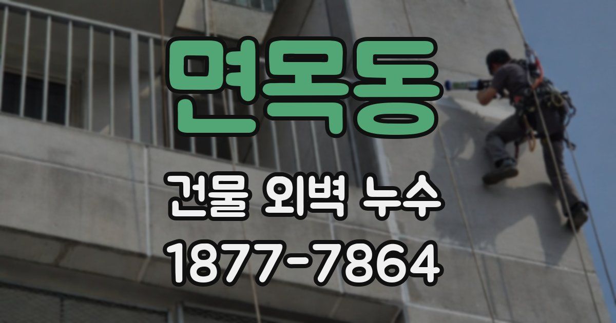 면목동 건물 외벽 누수