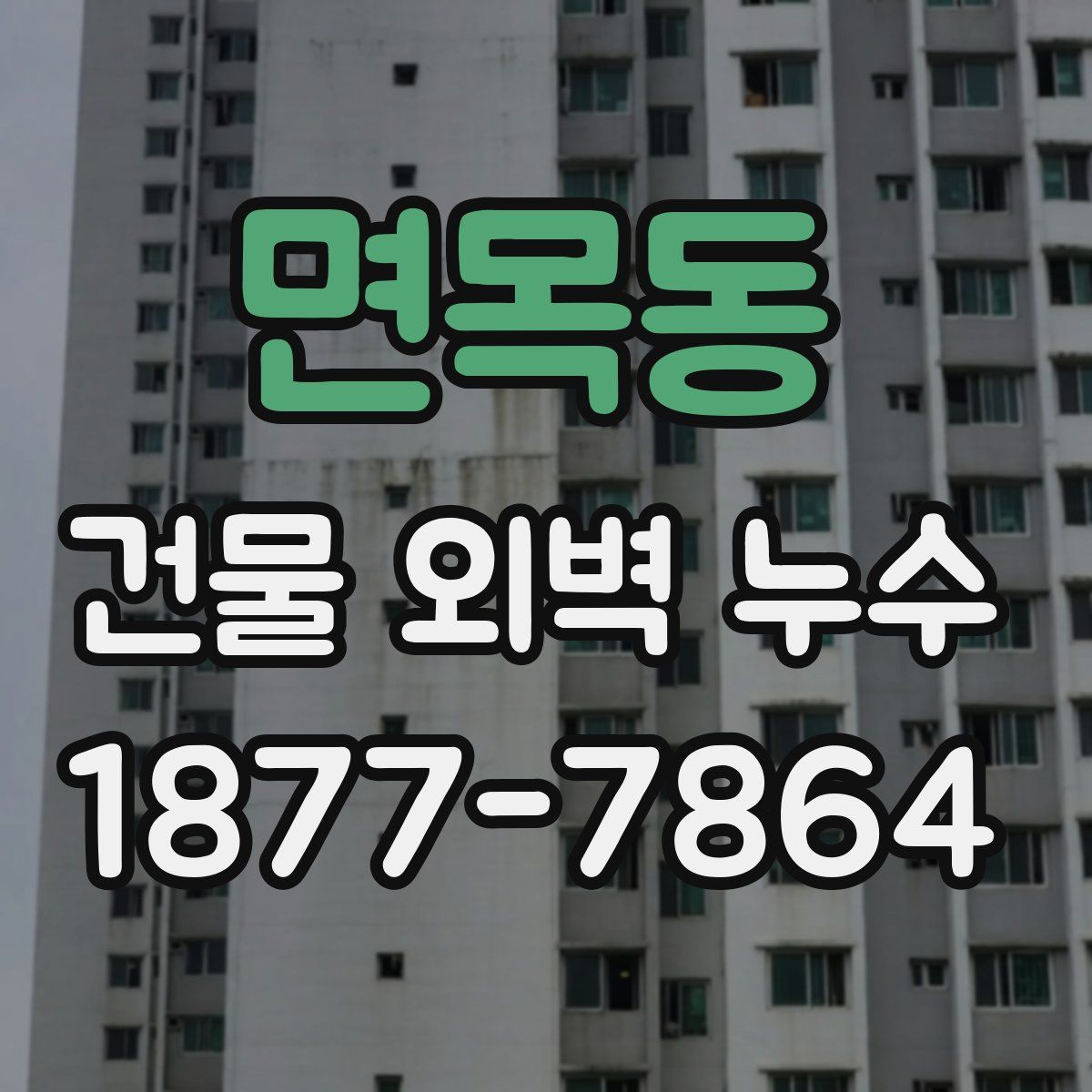 면목동 건물 외벽 누수