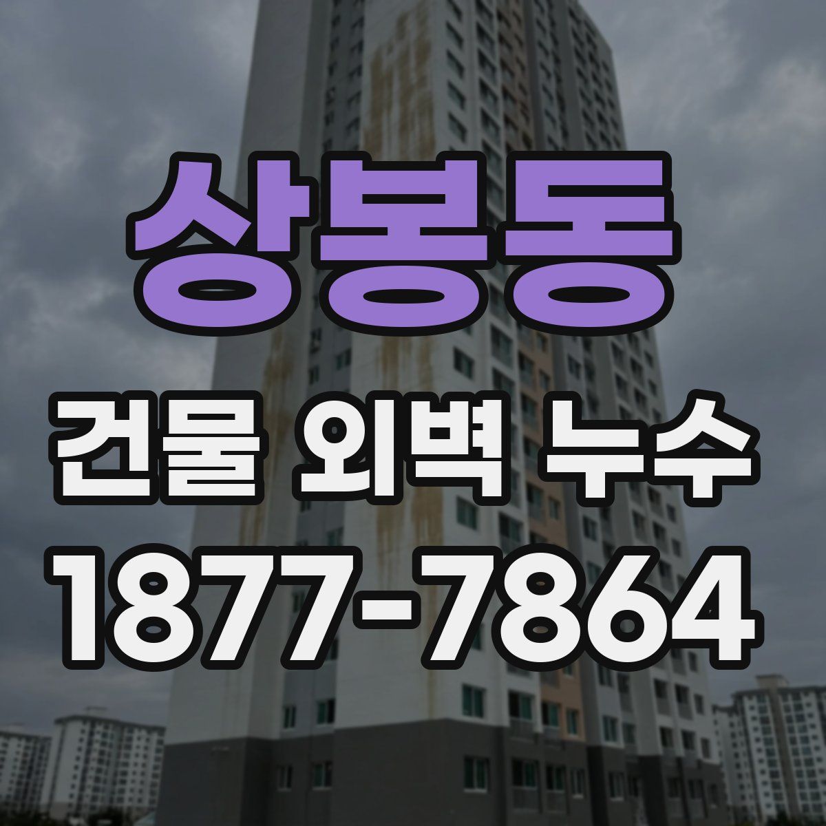상봉동 건물 외벽 누수