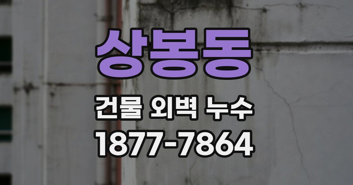 상봉동 건물 외벽 누수