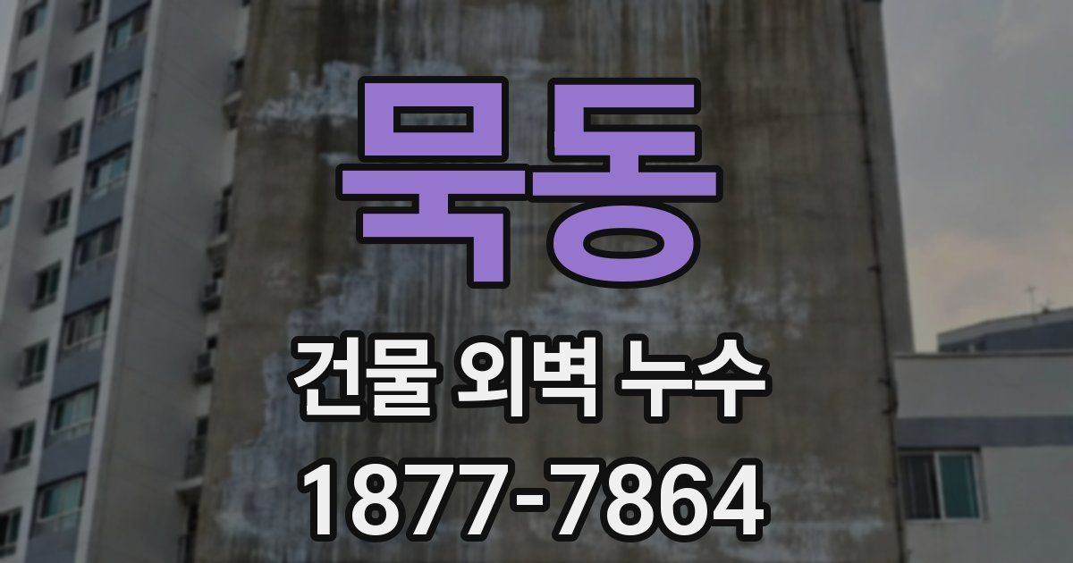 묵동 건물 외벽 누수