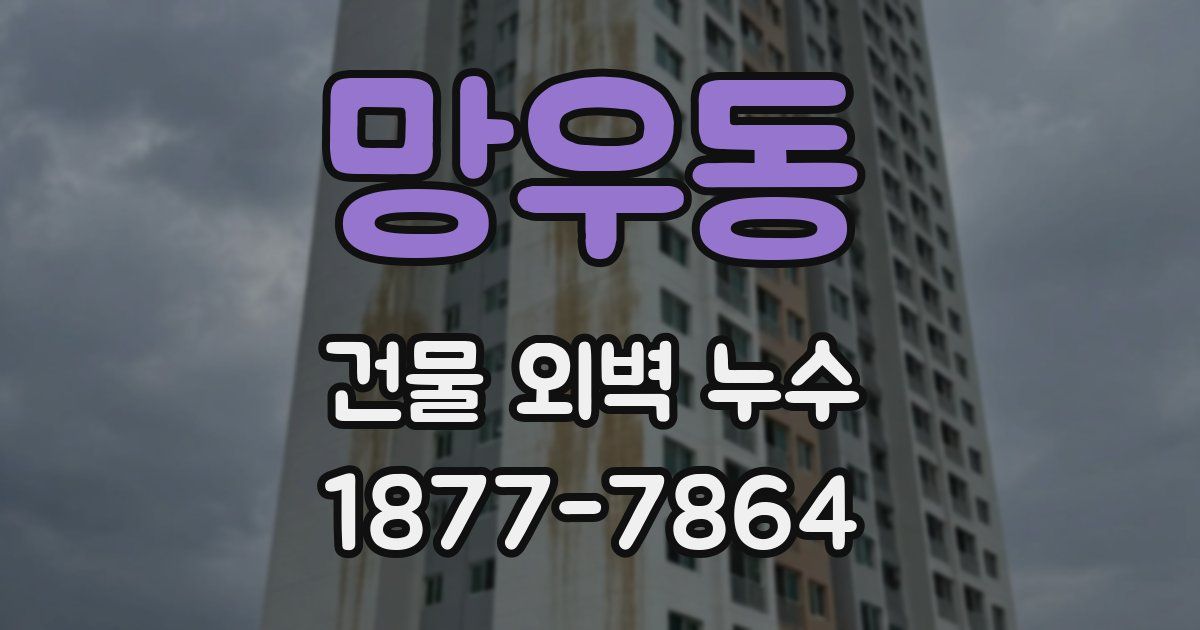 망우동 건물 외벽 누수