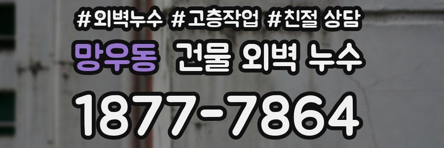 망우동 건물 외벽 누수