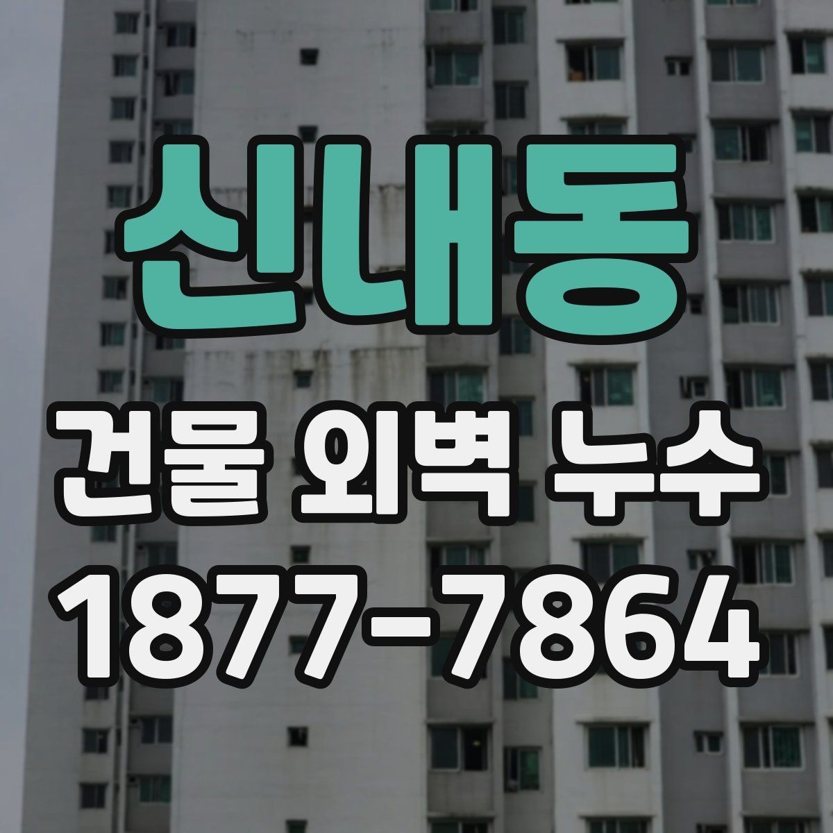 신내동 건물 외벽 누수 보수 업체 선택 기준