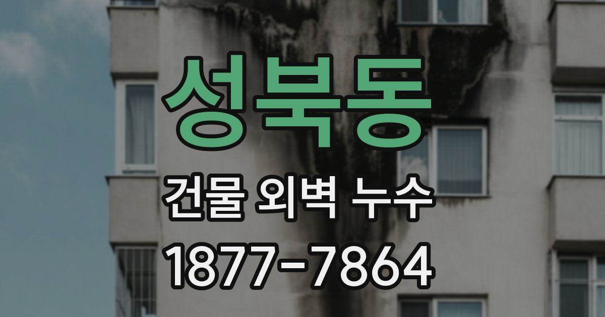 성북동 건물 외벽 누수
