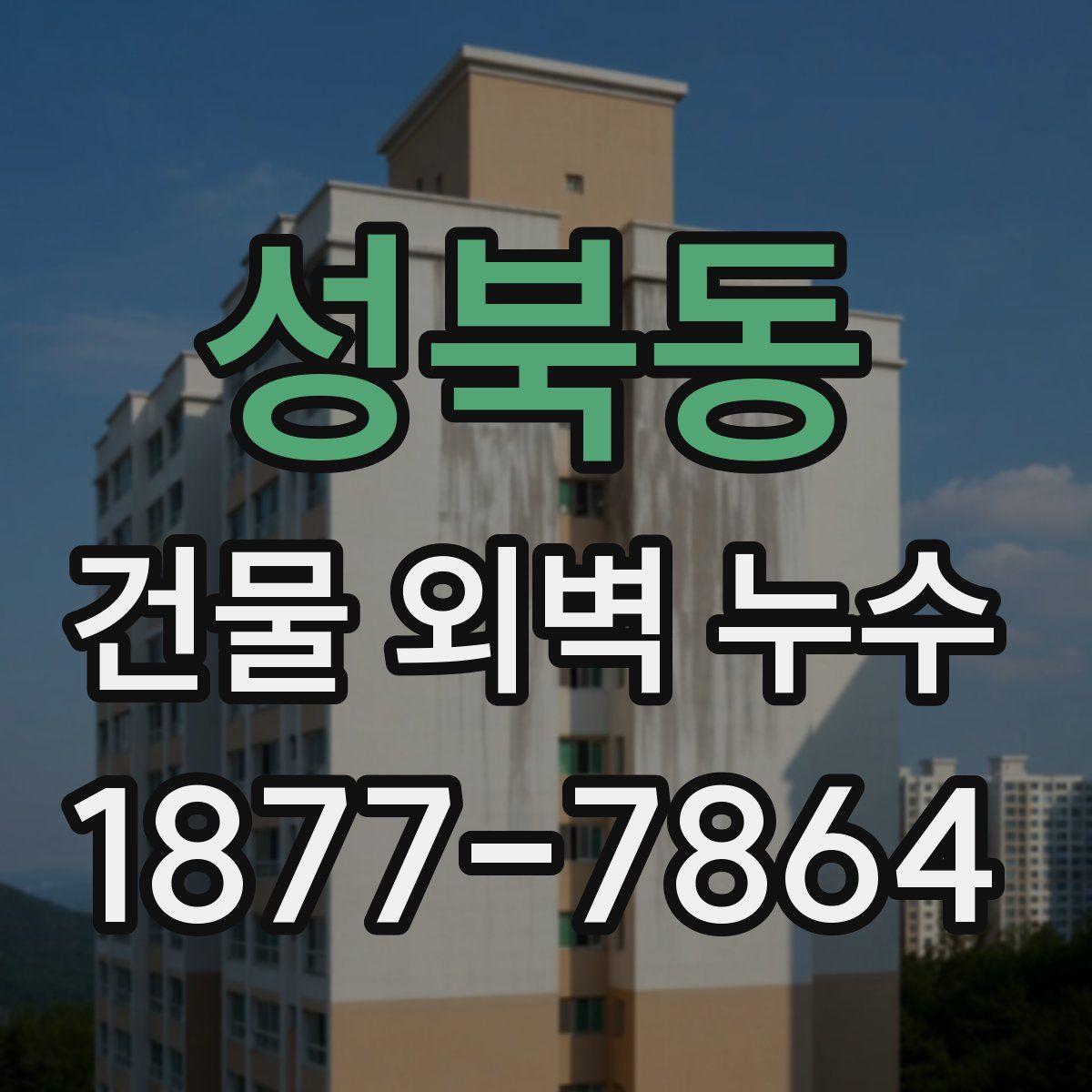 성북동 건물 외벽 누수