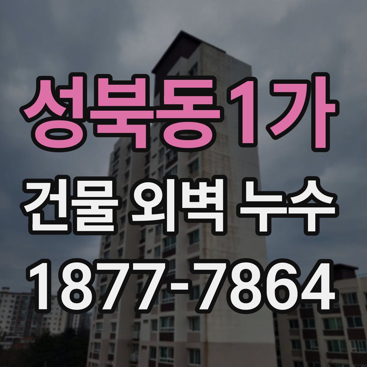 성북동1가 건물 외벽 누수