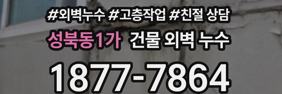 성북동1가 건물 외벽 누수