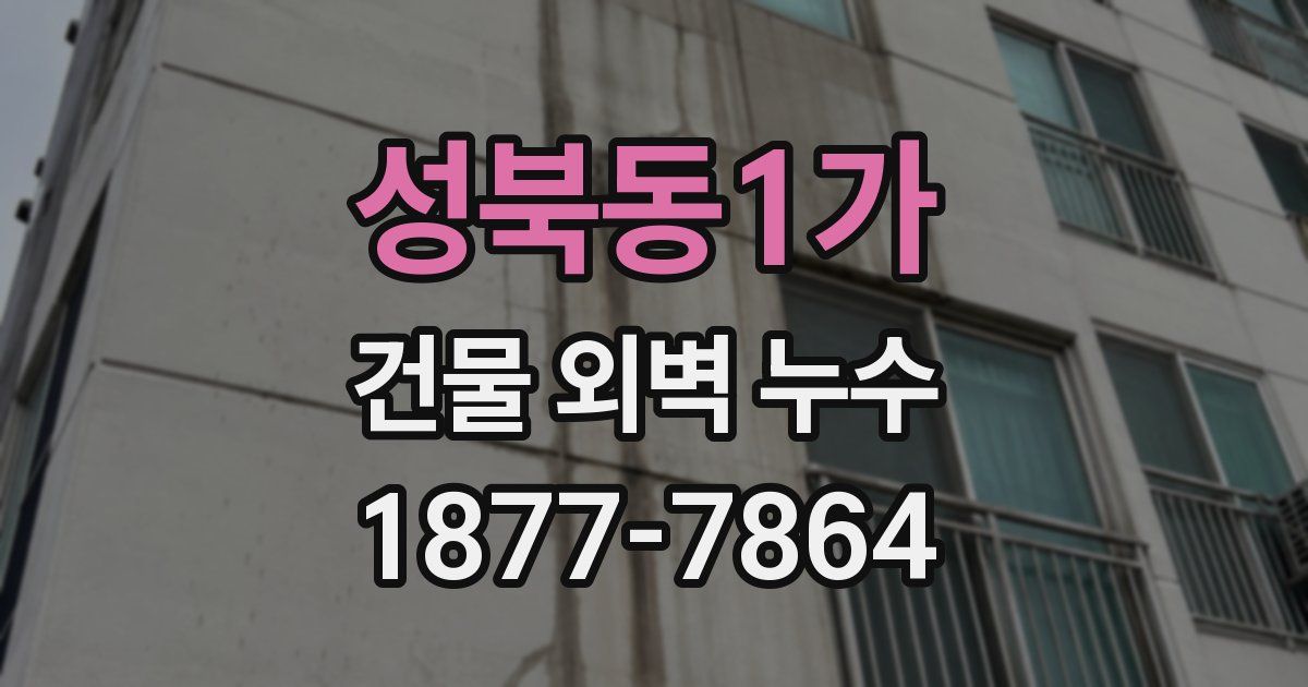 성북동1가 건물 외벽 누수