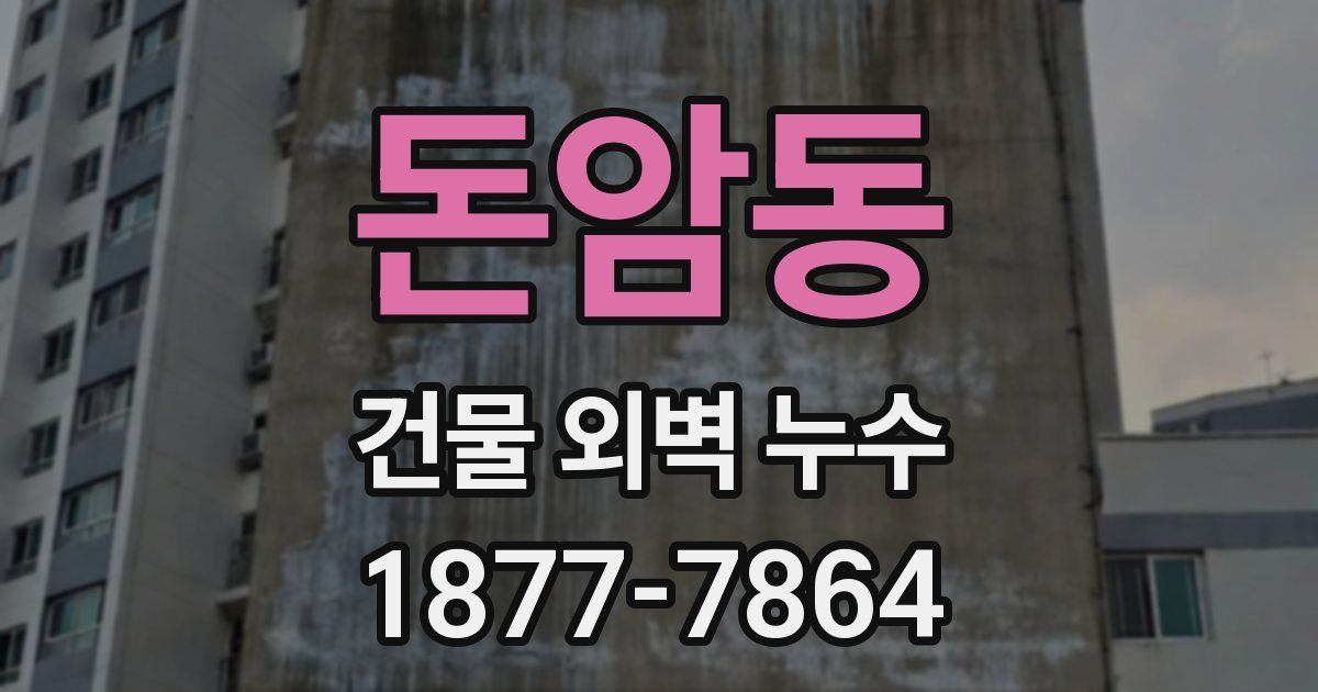 돈암동 건물 외벽 누수