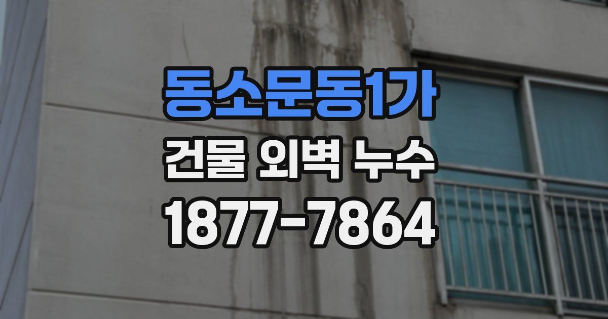 동소문동1가 건물 외벽 누수