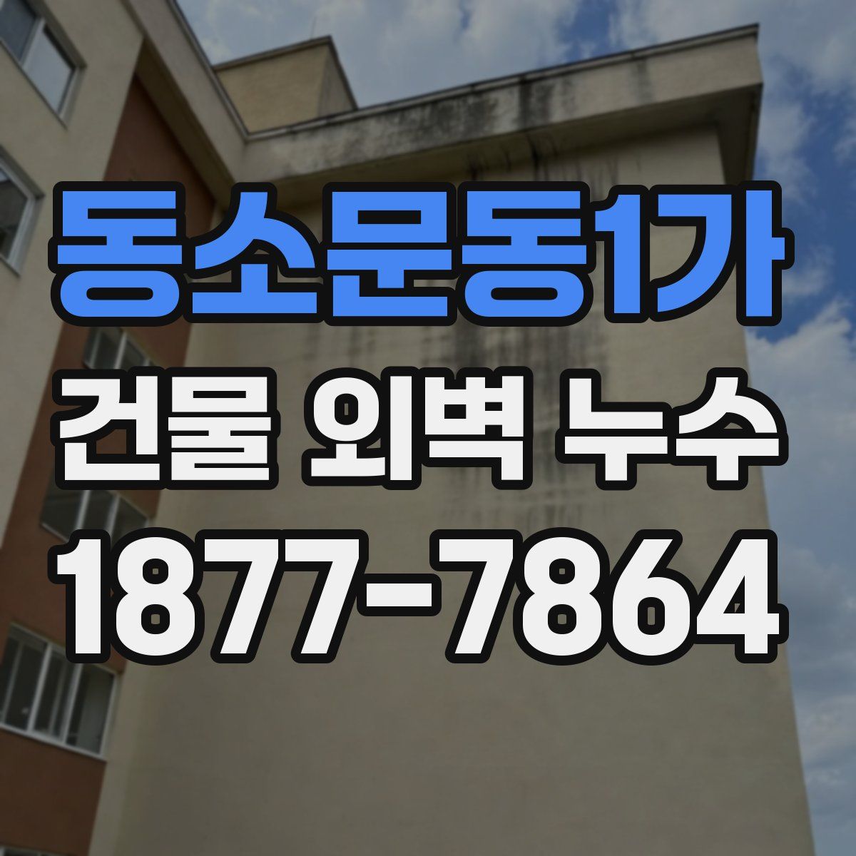 동소문동1가 건물 외벽 누수