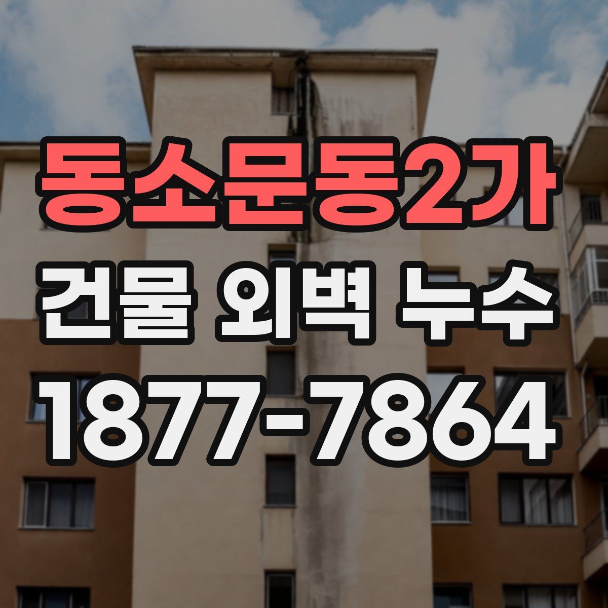 동소문동2가 건물 외벽 누수