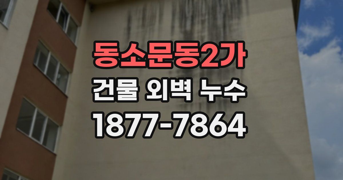 동소문동2가 건물 외벽 누수