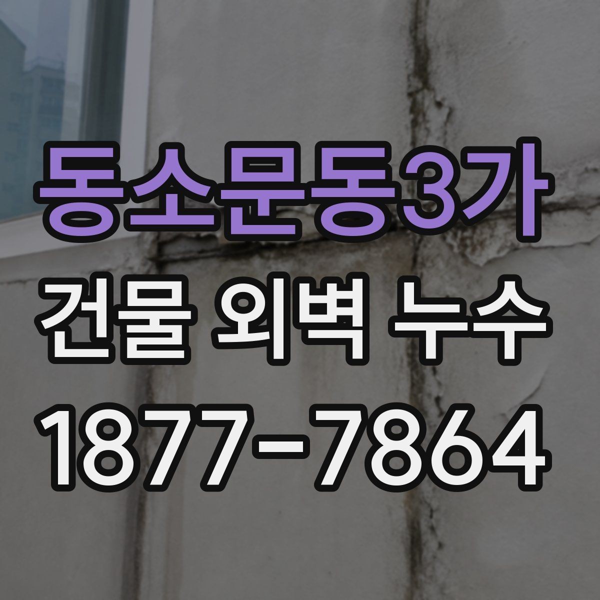 동소문동3가 건물 외벽 누수 점검을 맡기기 전 준비할 것