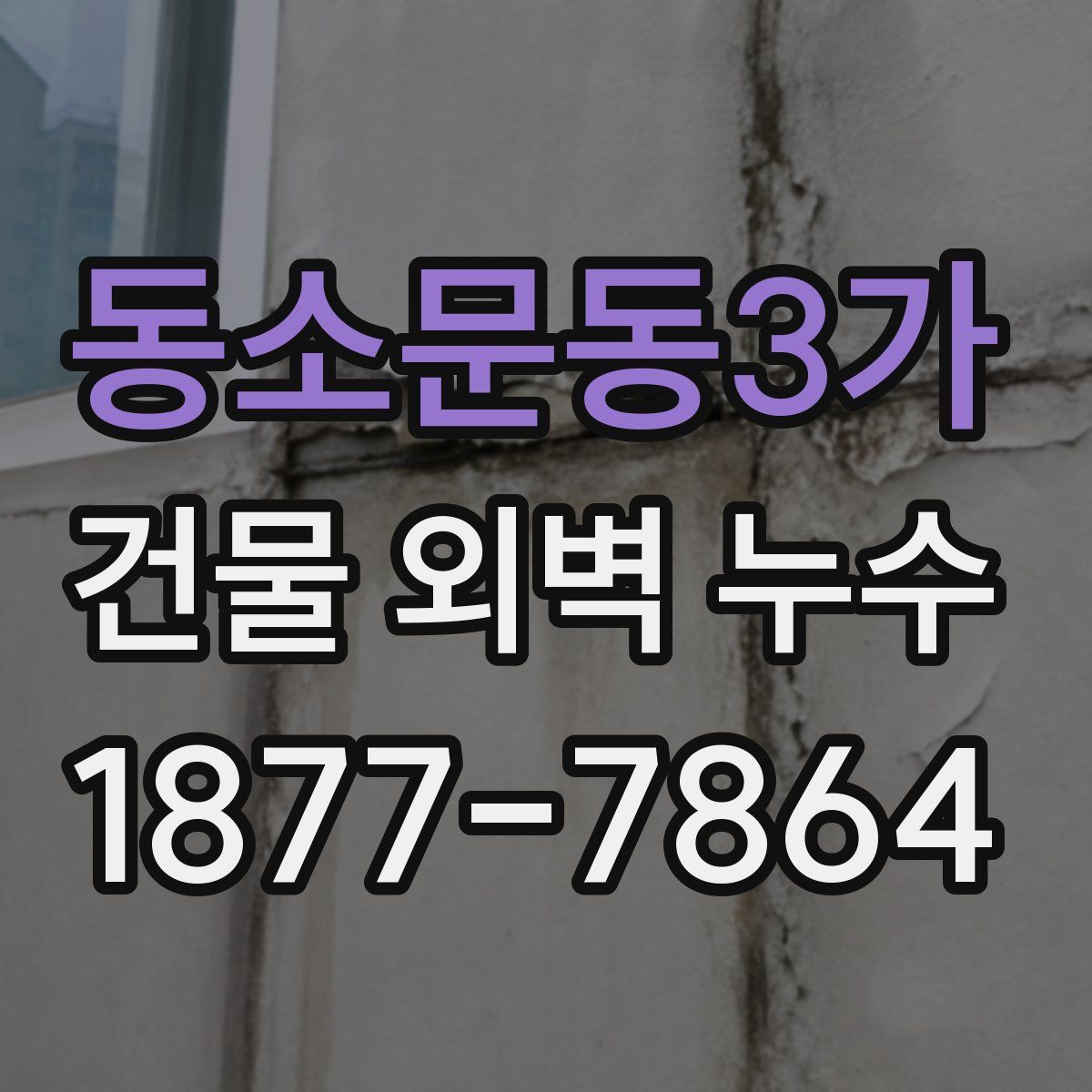 동소문동3가 건물 외벽 누수