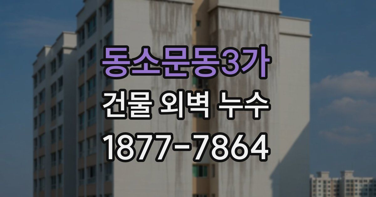 동소문동3가 건물 외벽 누수