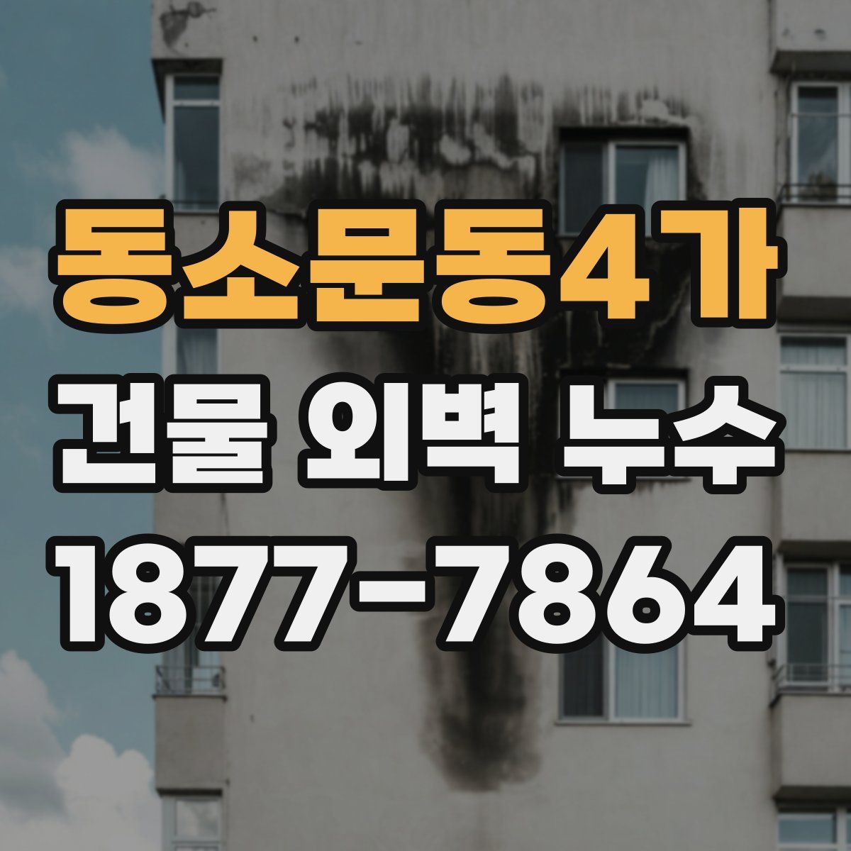 동소문동4가 건물 외벽 누수