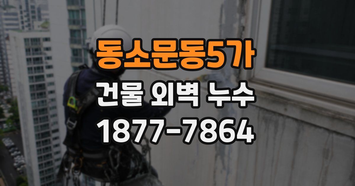 동소문동5가 건물 외벽 누수