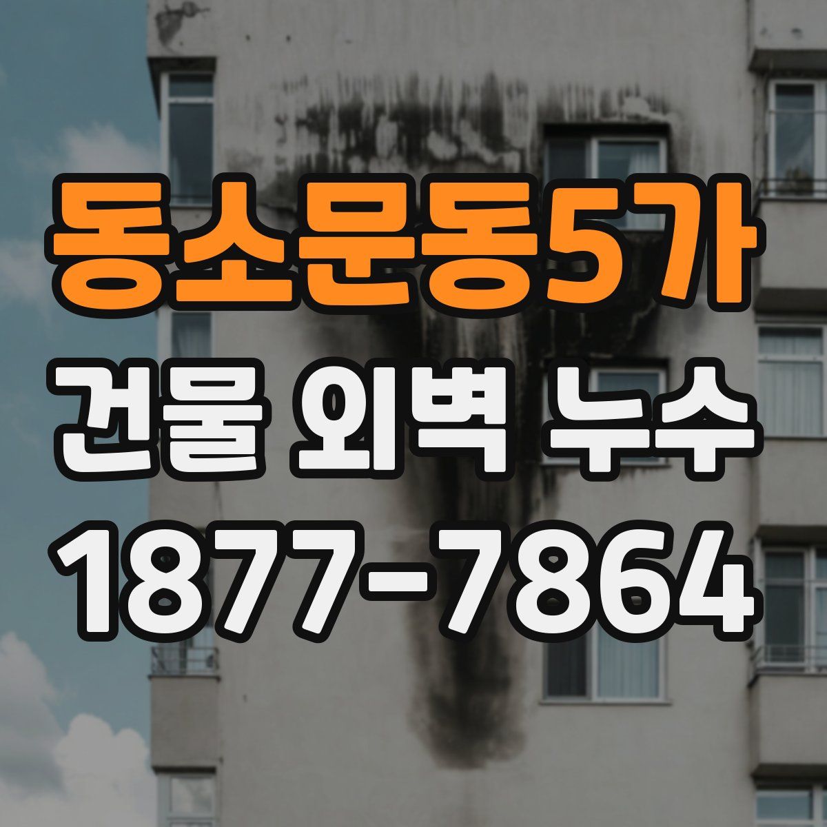 동소문동5가 건물 외벽 누수