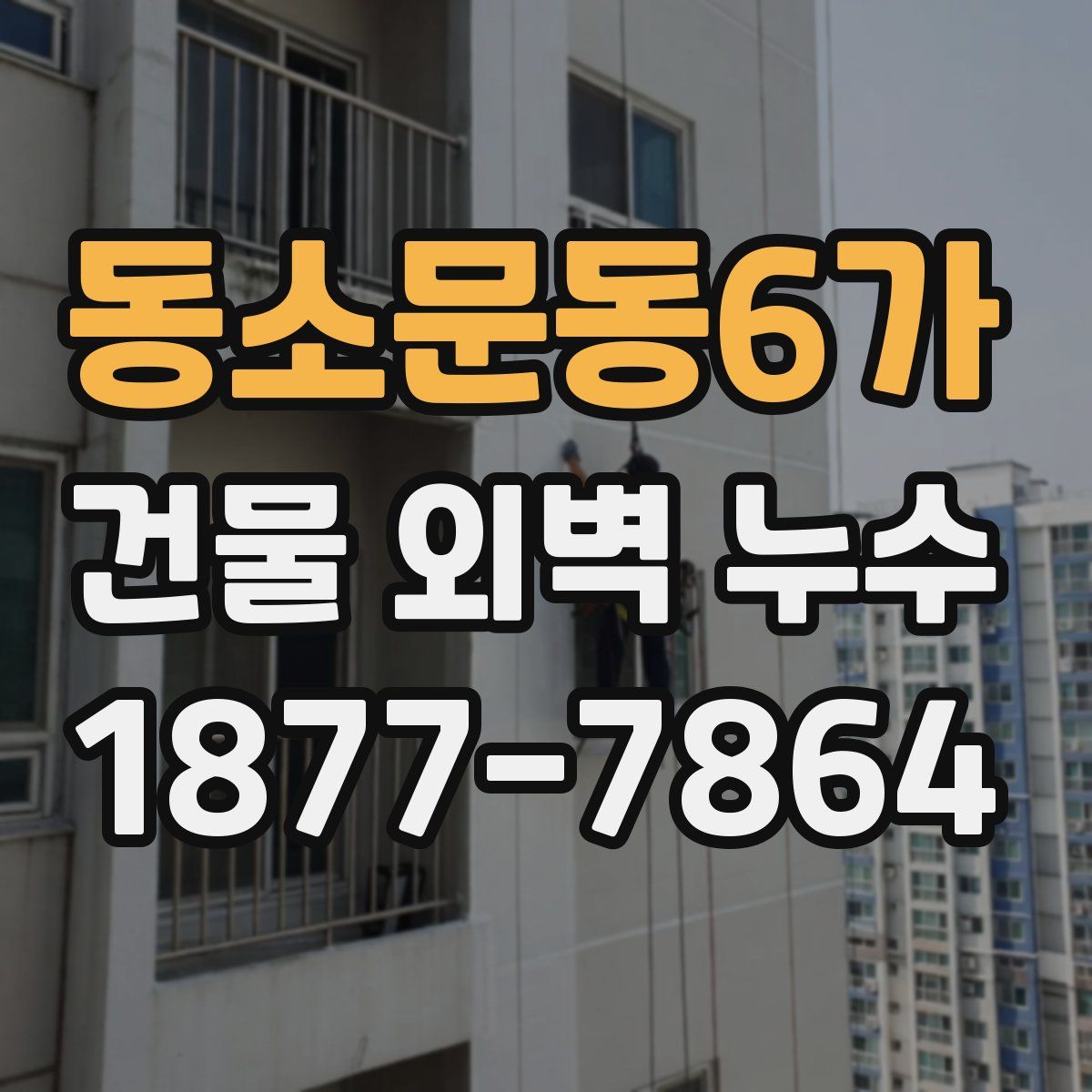 동소문동6가 건물 외벽 누수
