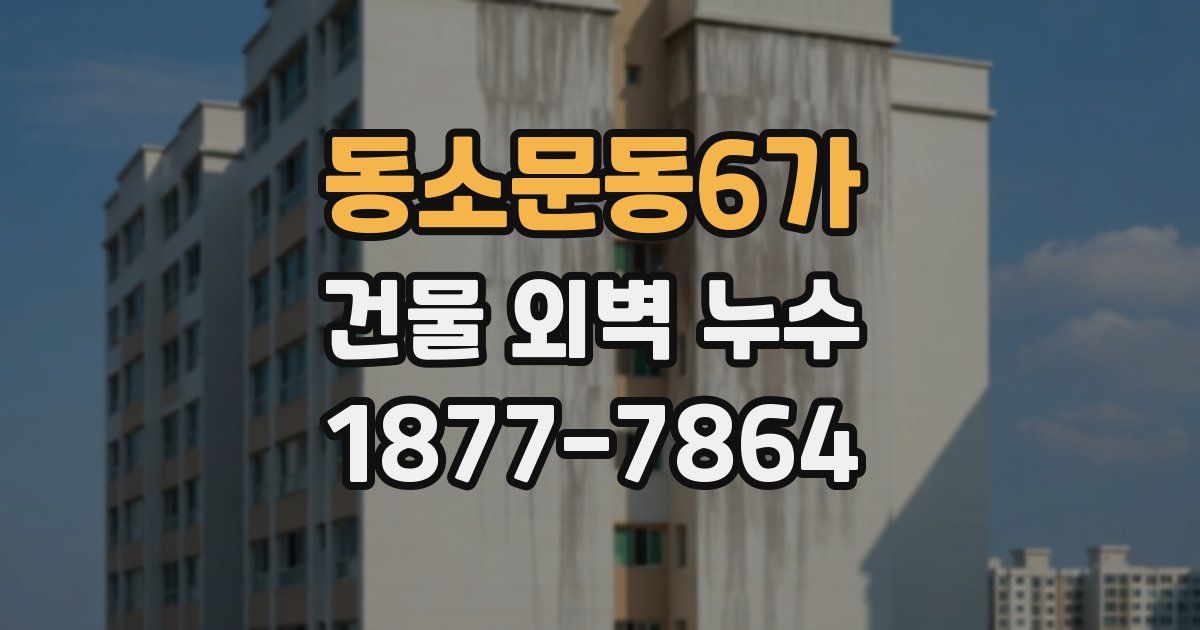 동소문동6가 건물 외벽 누수