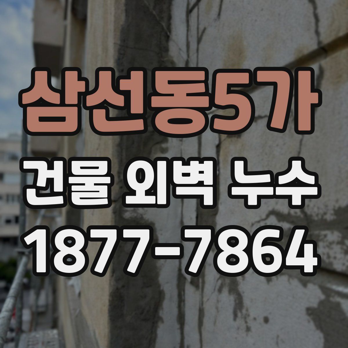 삼선동5가 건물 외벽 누수