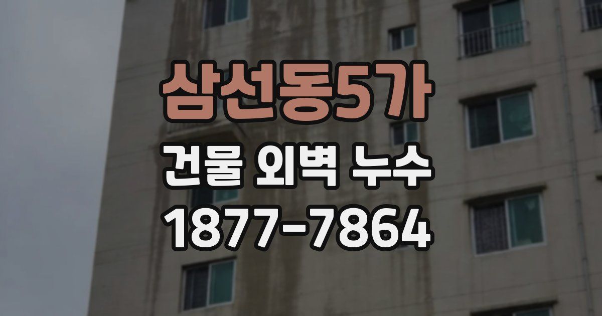 삼선동5가 건물 외벽 누수