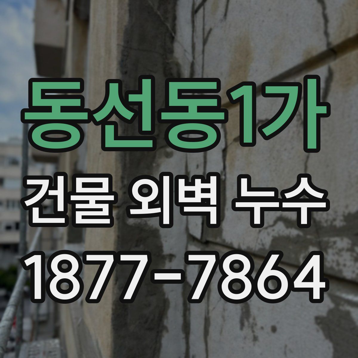 동선동1가 건물 외벽 누수