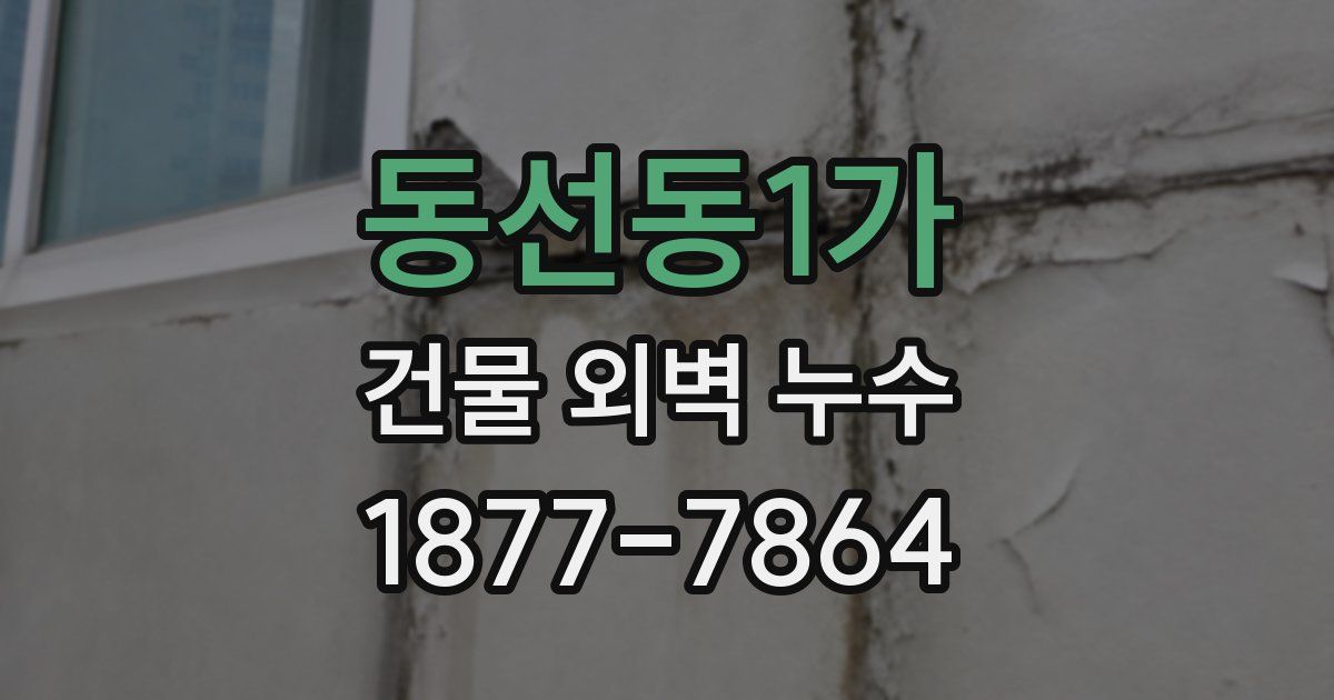 동선동1가 건물 외벽 누수
