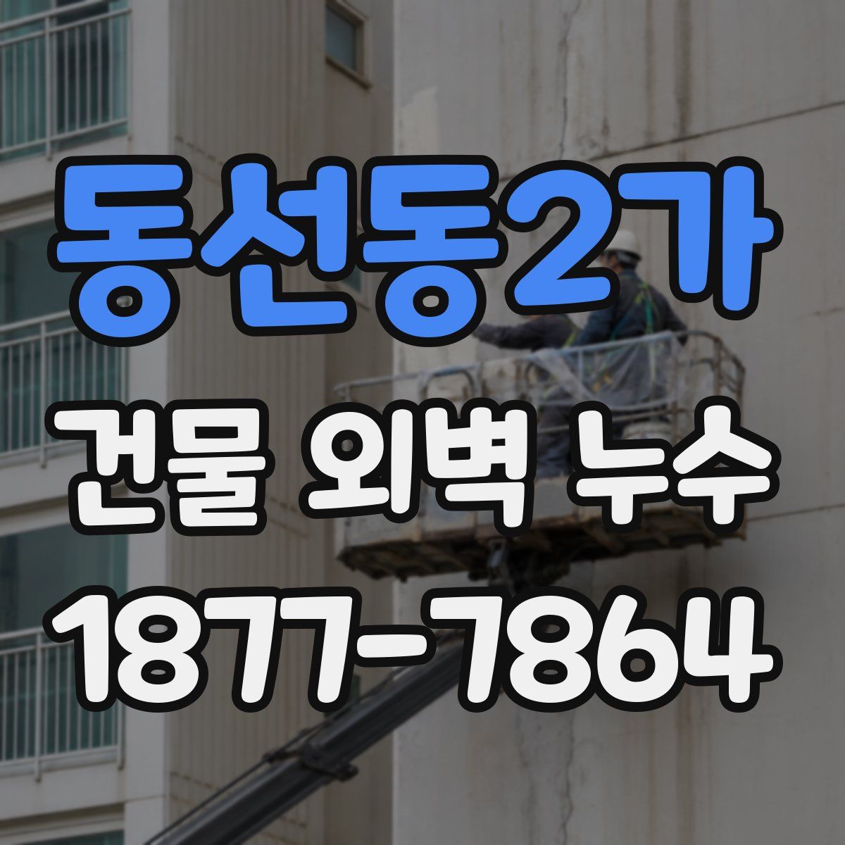 동선동2가 건물 외벽 누수