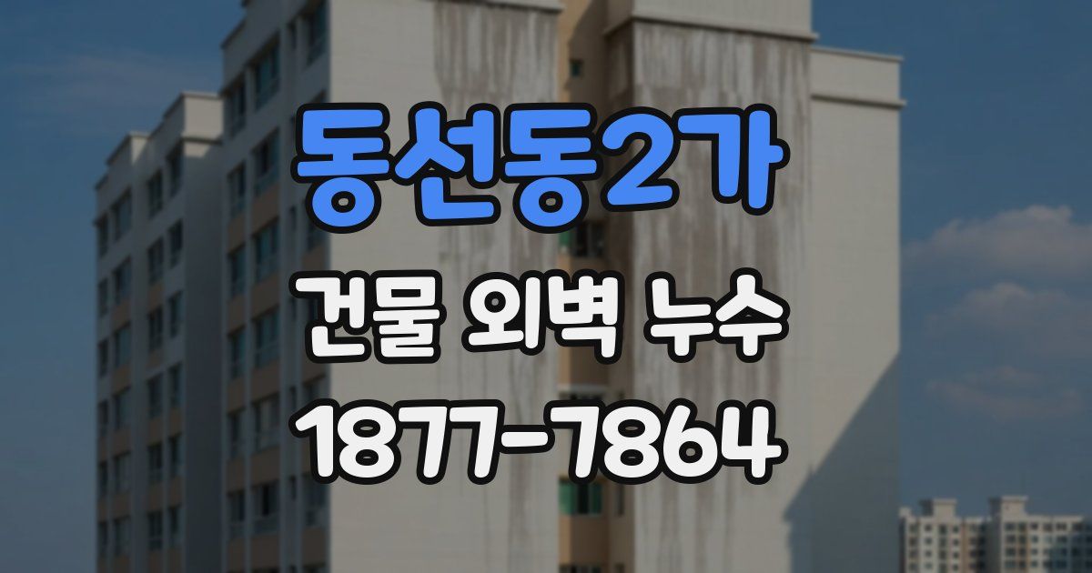 동선동2가 건물 외벽 누수