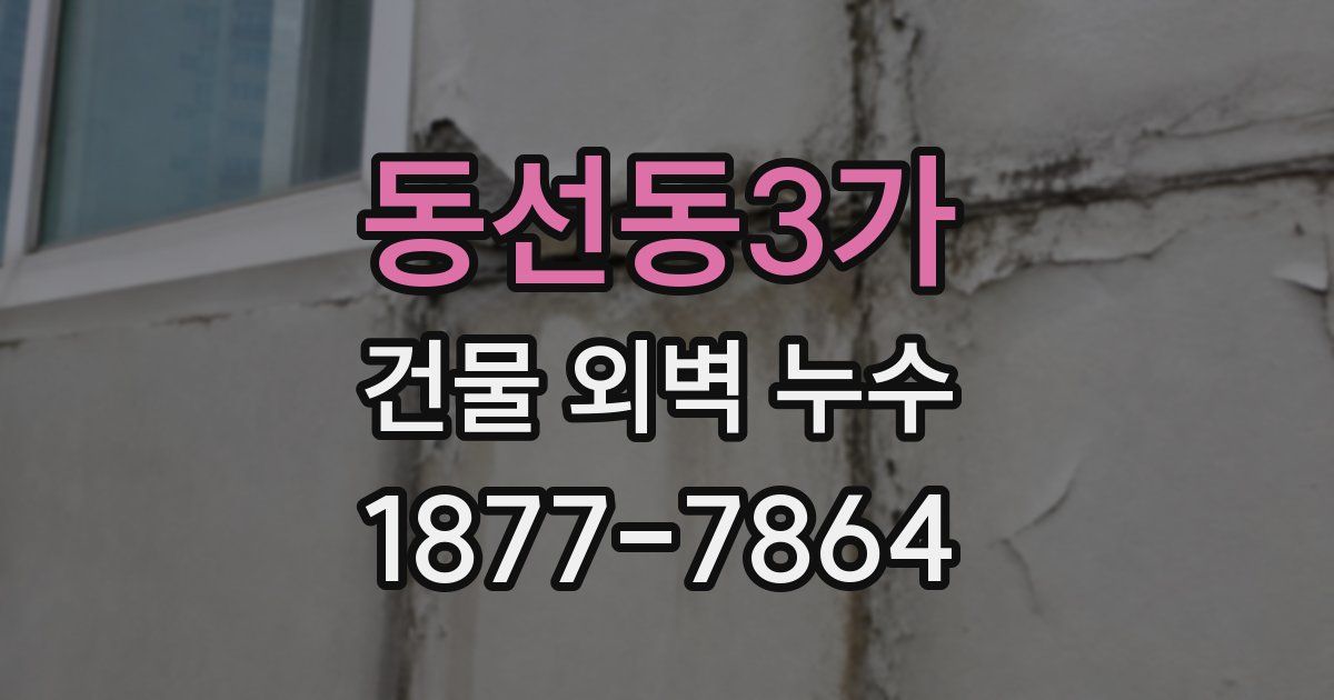 동선동3가 건물 외벽 누수