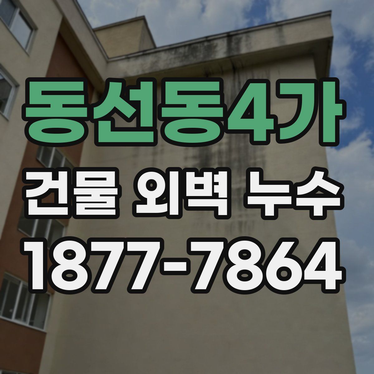 동선동4가 건물 외벽 누수