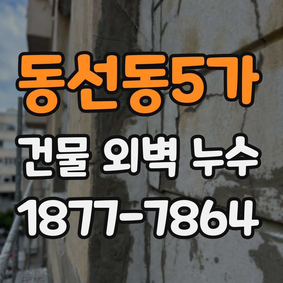 동선동5가 건물 외벽 누수 보수 비용 산정의 기준 요소