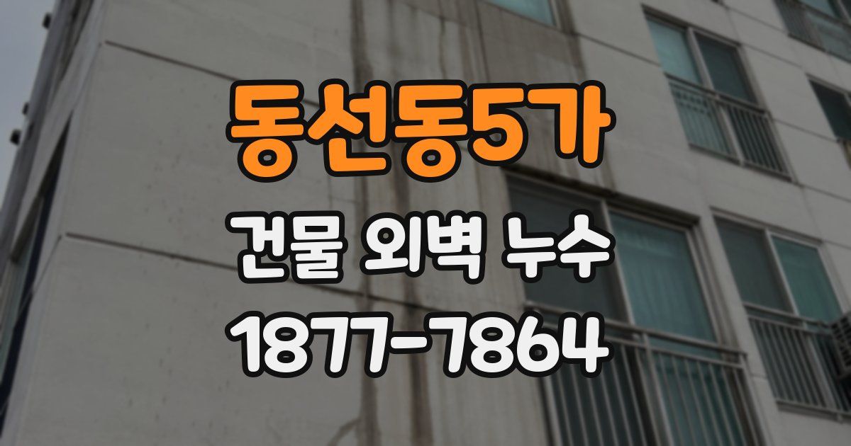 동선동5가 건물 외벽 누수