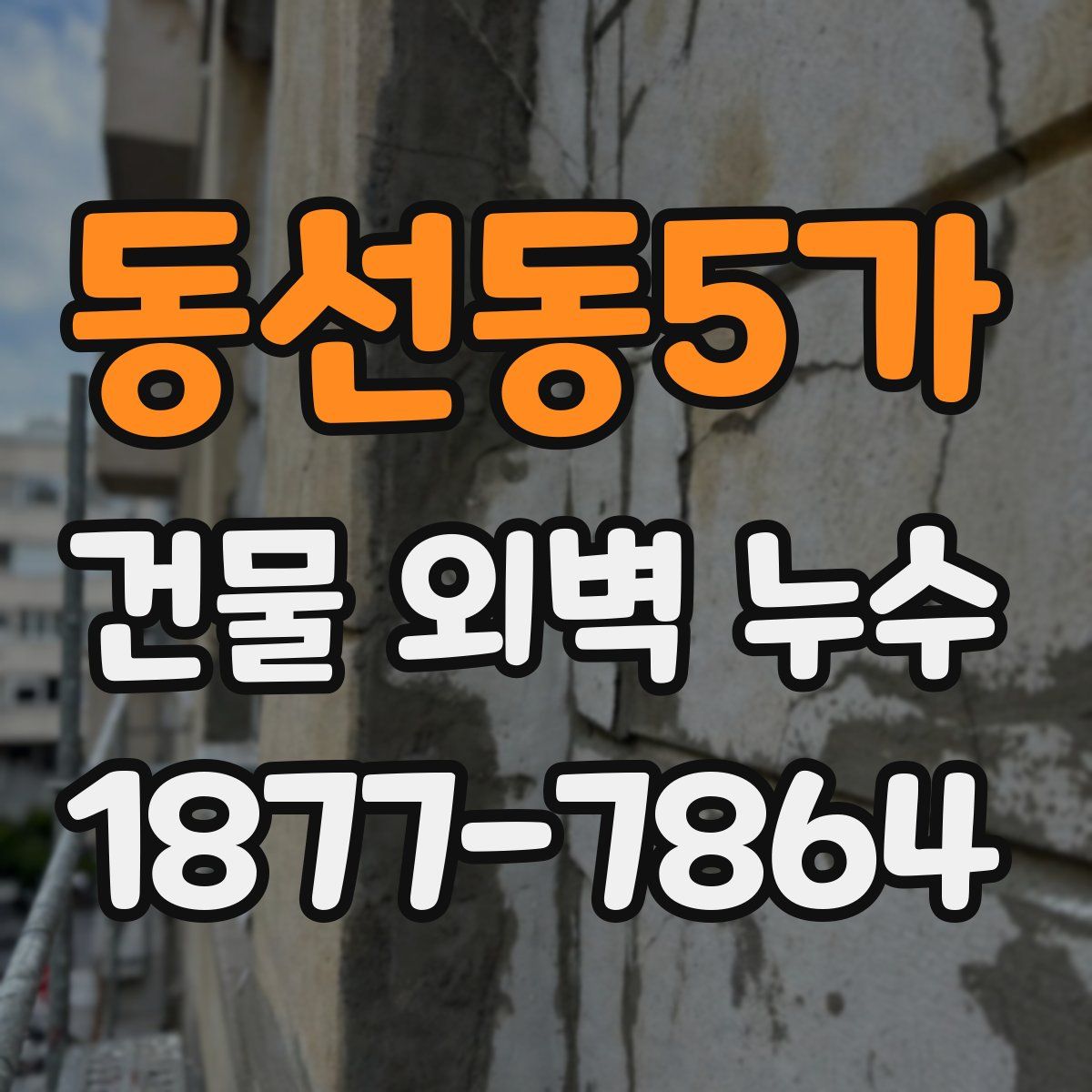 동선동5가 건물 외벽 누수