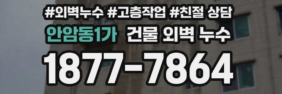안암동1가 건물 외벽 누수