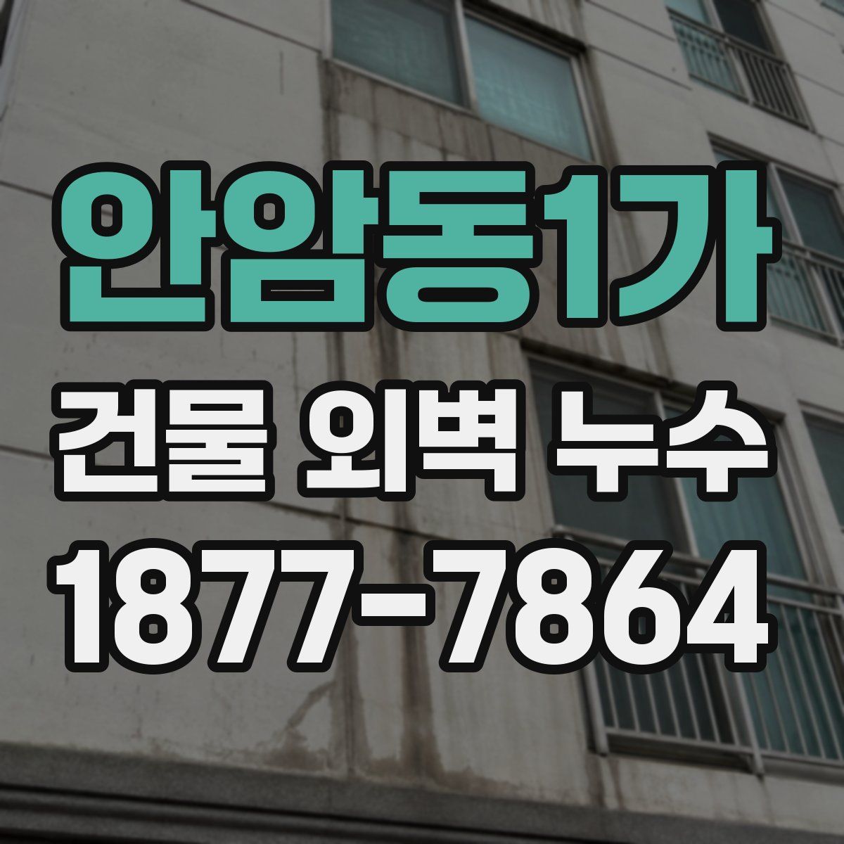 안암동1가 건물 외벽 누수