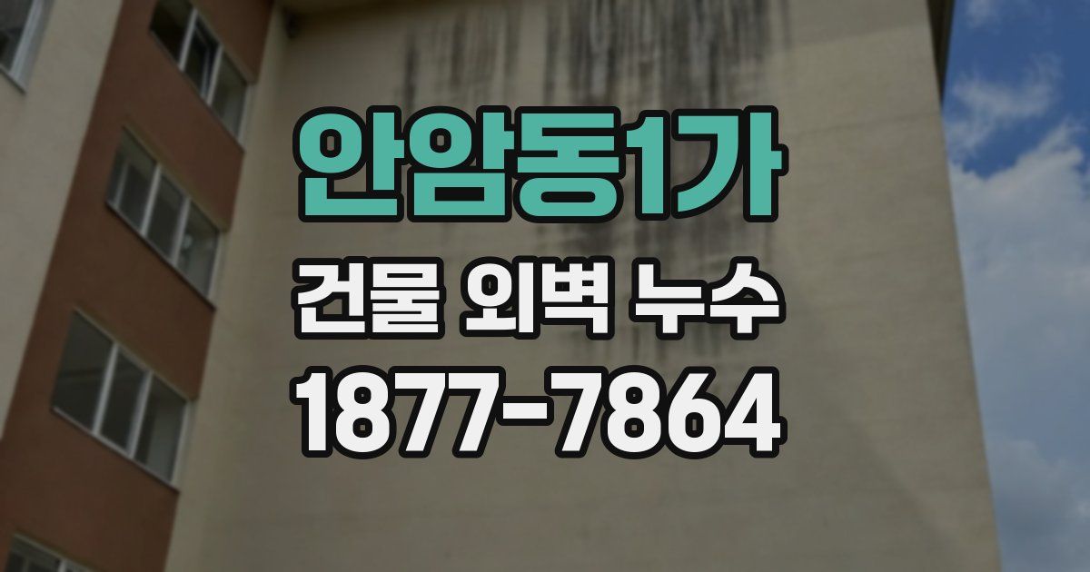 안암동1가 건물 외벽 누수