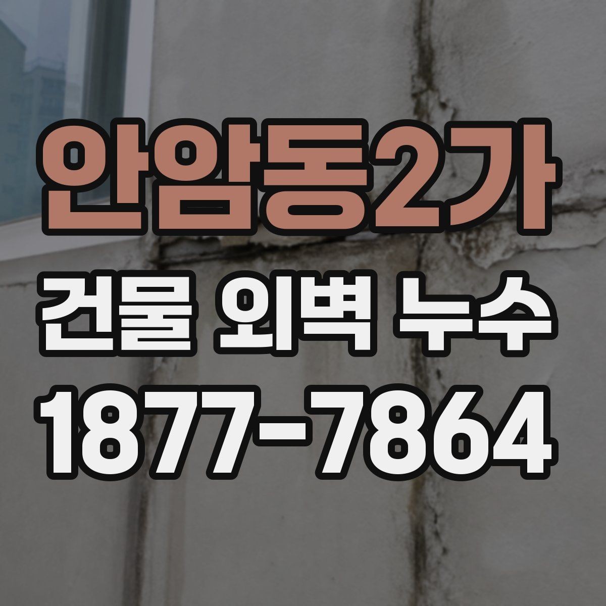 안암동2가 건물 외벽 누수 예방을 위한 계절별 점검
