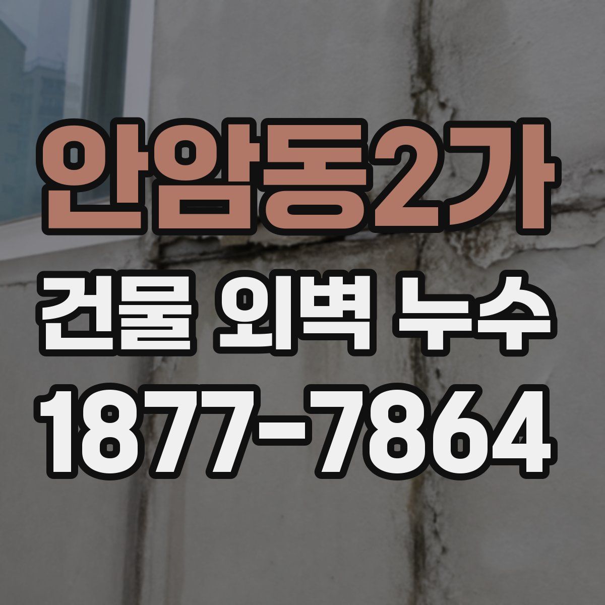 안암동2가 건물 외벽 누수