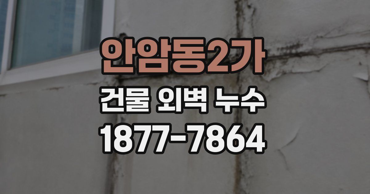 안암동2가 건물 외벽 누수