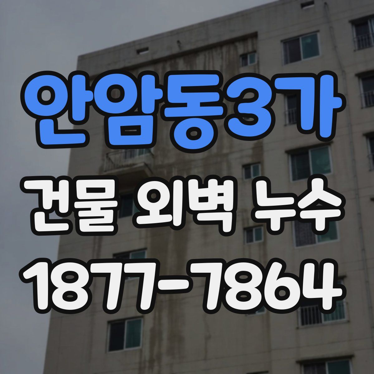 안암동3가 건물 외벽 누수
