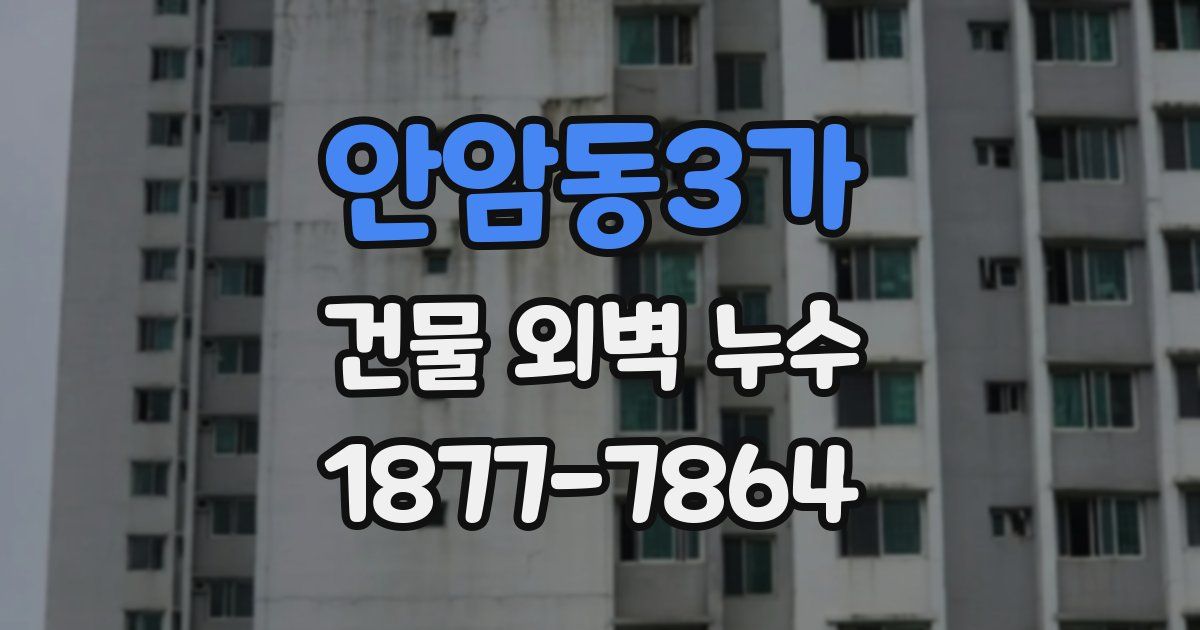 안암동3가 건물 외벽 누수