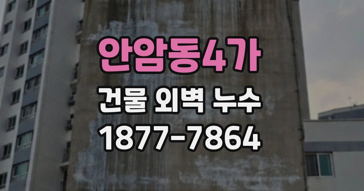 안암동4가 건물 외벽 누수
