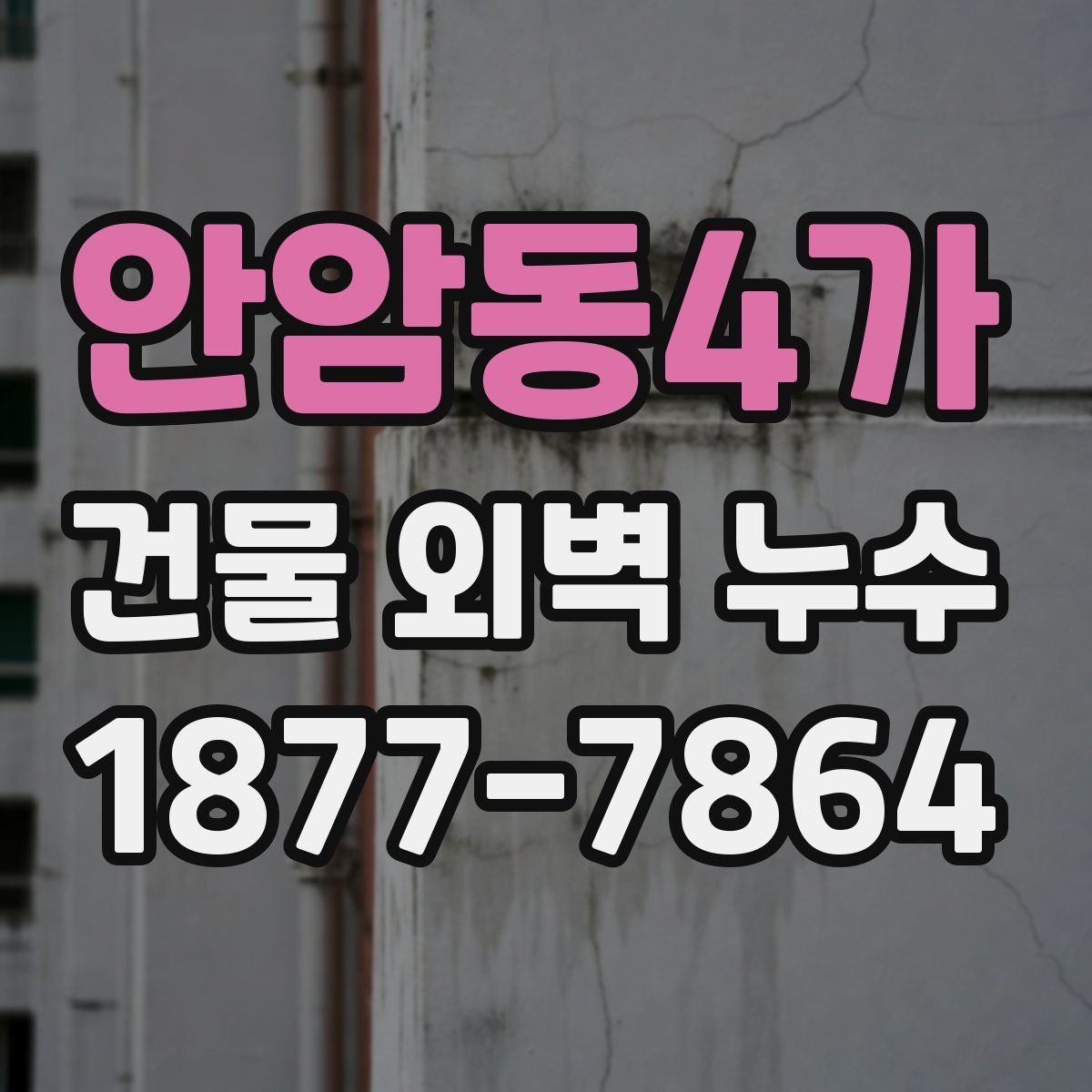 안암동4가 건물 외벽 누수